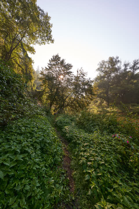 Gemeinde Winhöring Landkreis Altötting Steinhöring Isen Landschaft Pilgerweg (Dirschl Johann) Deutschland AÖ